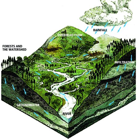Example of a watershed