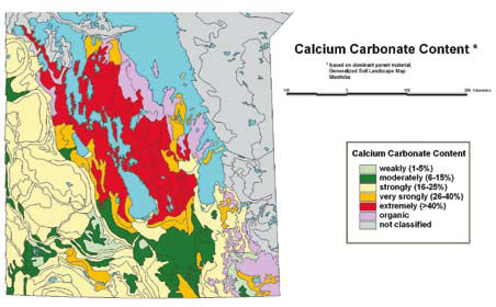 Calcium Carbonate Content