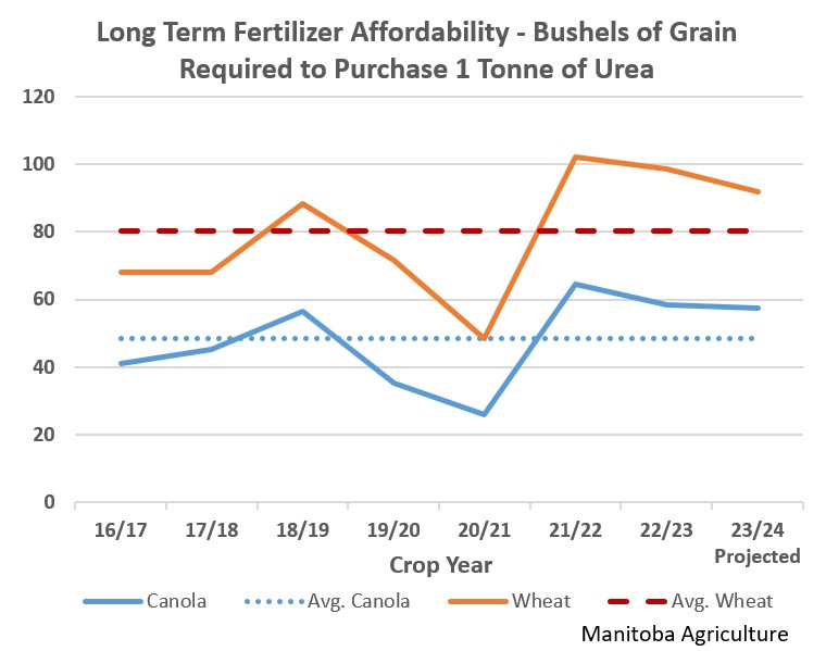 A graph showing that how much Bushels of Grain required to purchase 1 tonne of Urea from 2016 to 2024