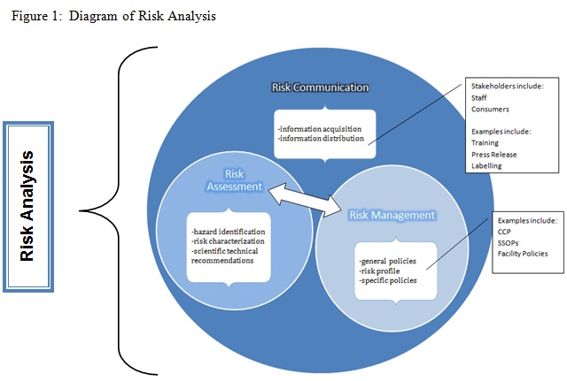 Diagram of Risk Analysis