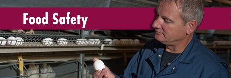 Food Safety Page