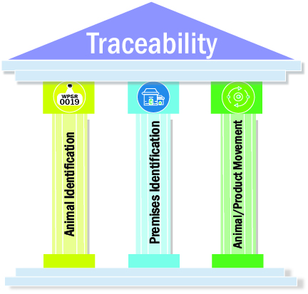 Image representing the three traceability pillars: Animal Identification, Premises Identification and Animal/Product Movement.