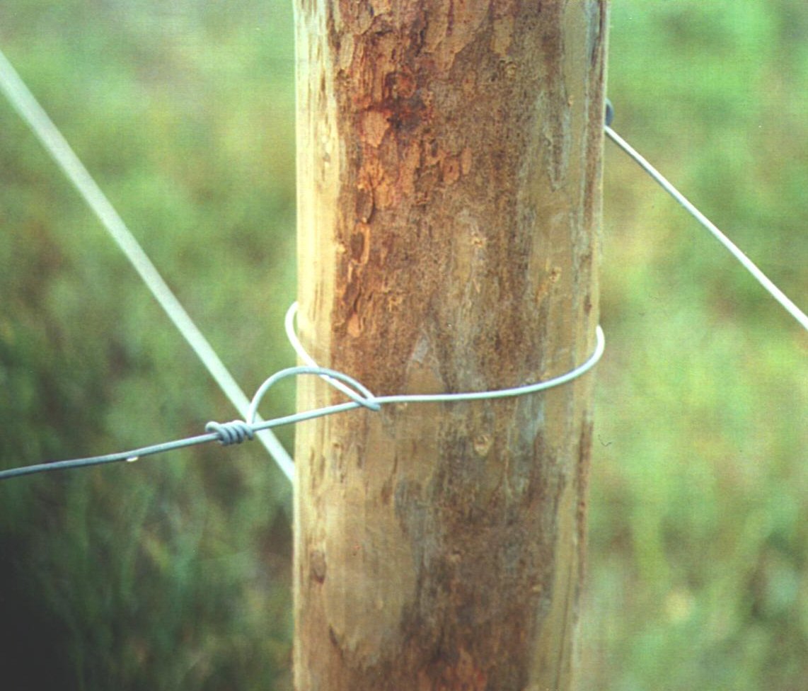 Galvanized wire.