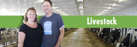Livestock Page