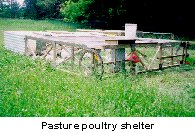 Pasture poultry shelter