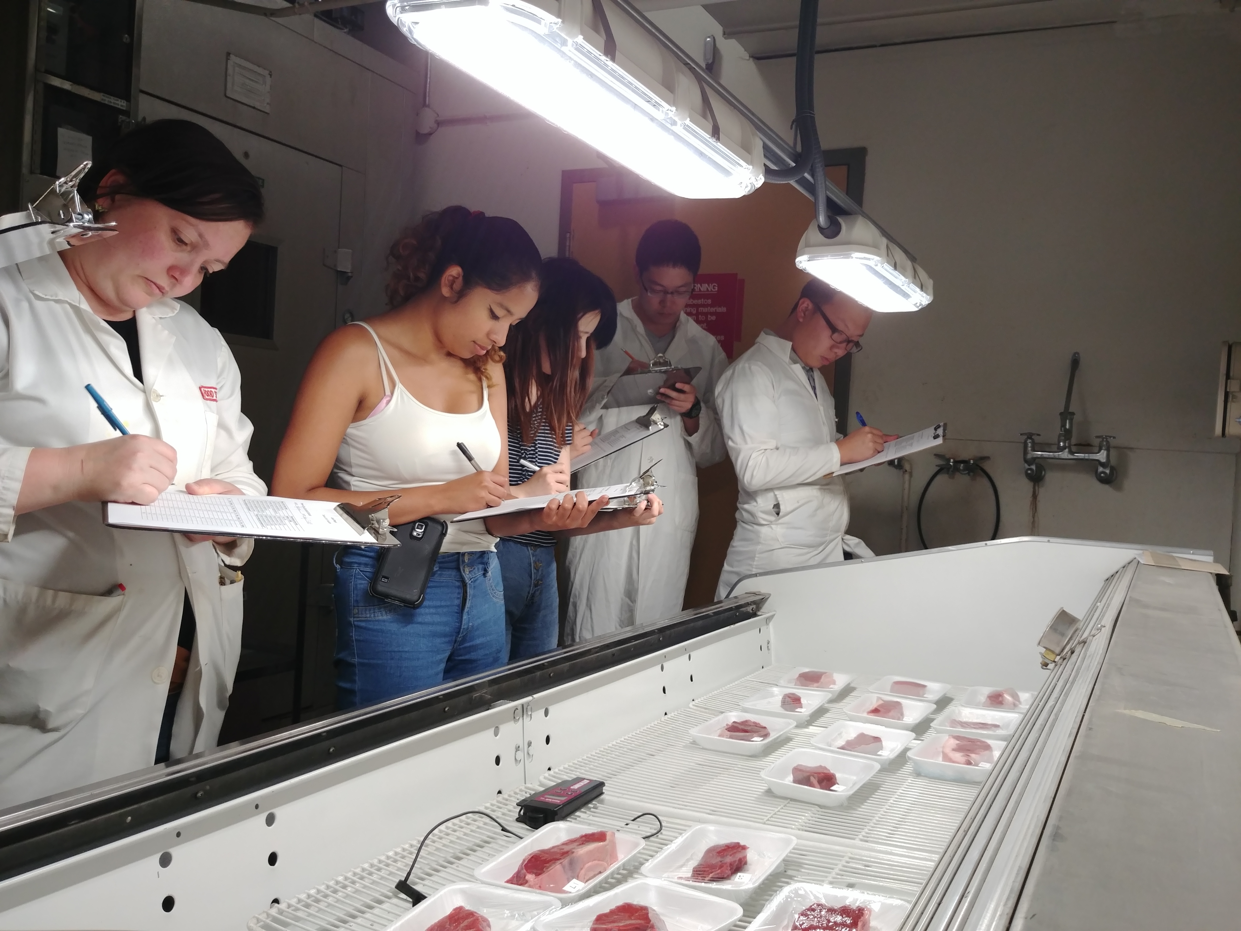 Cinq étudiants analysant les caractéristiques de divers morceaux de viande rouge dans un laboratoire.
