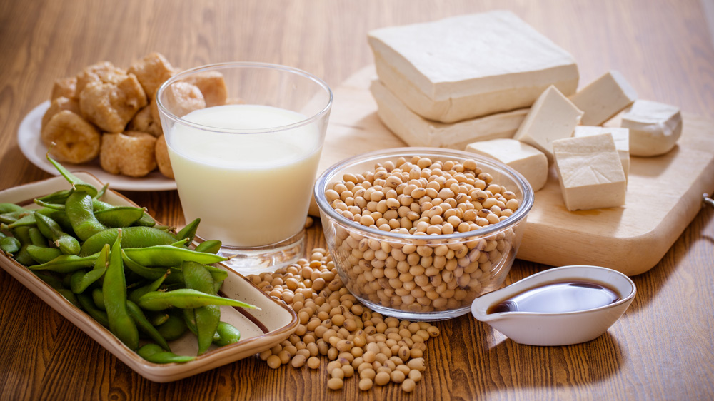 Picture of various kinds of soybean products 