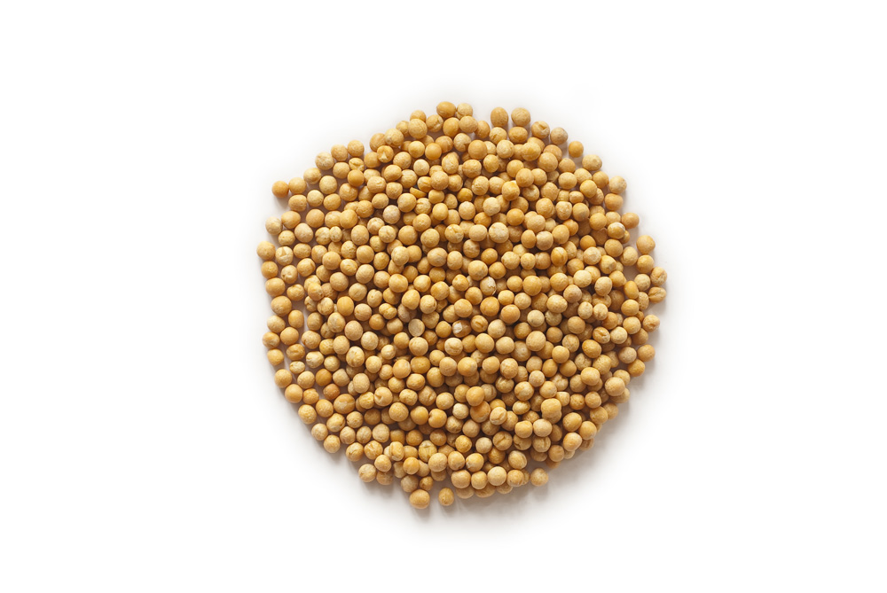 Picture of dried yellow peas arranged in a circle