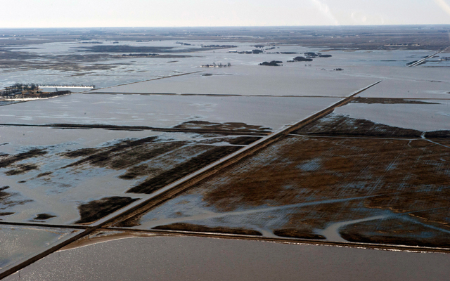Watery field south east of Portage La Prairie toward Morris
