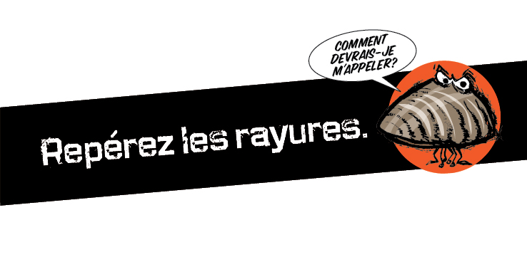 Repérez les rayures. Mettez fin à la propagation.