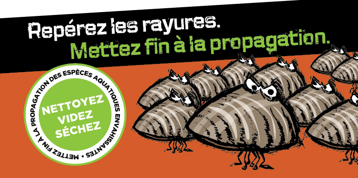 Repérez les rayures. Mettez fin à la propagation