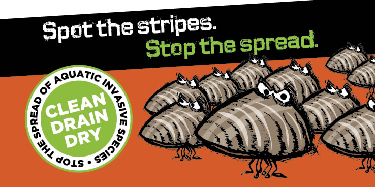 Invader Zebra Mussels Threaten Our Native Texas Species – Texas Living Waters Project