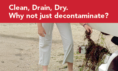 Aquatic Invasive Species Detection