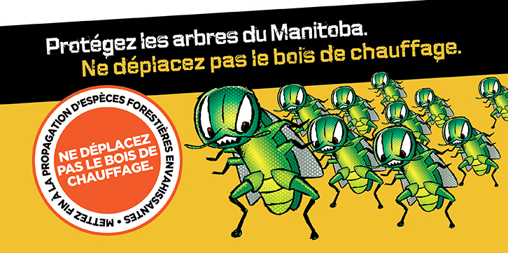 Protégez les arbres du Manitoba. Ne déplacez pas le bois de chauffage.