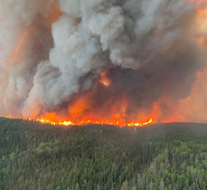 Renseignements sur les incendies chapps