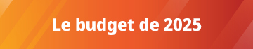 Budget 2025 full document