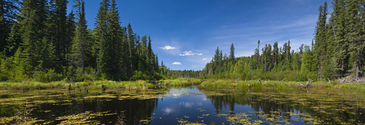 Duck Mountain Provincial Park