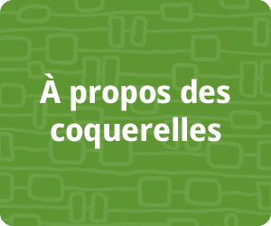  propos des coquerelles