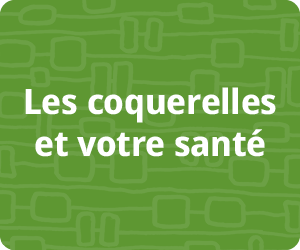 Les coquerelles et votre sant