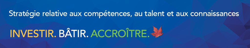 Stratégie relative aux compétences, au talent et aux connaissances