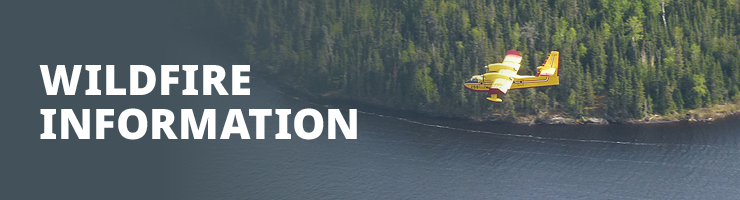 Wildfire Information