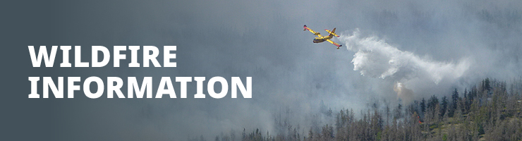 Wildfire Information