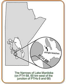 map of Manitoba, highlighting The Narrows of Lake Manitoba (9pn PTH 86, 60 km west of the junction of PTHs 6 and 68)