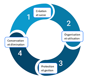 1 - Création et saisie des documents, 2 - Organisation et utilisation des documents, 3 - Protection et gestion des documents, 4 - Conservation et élimination des documents