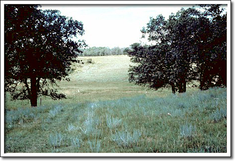 Ancienne route de la Boundary Commission