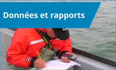 Données et rapports Données et rapports