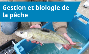 Gestion et biologie de la pêche Gestion et biologie de la pêche