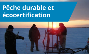 Pêche durable et écocertification Pêche durable et écocertification