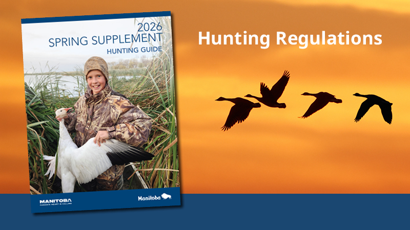 You can now access the 2025 Spring Supplement Hunting Guide online! You can now access the 2025 Spring Supplement Hunting Guide online! Guide