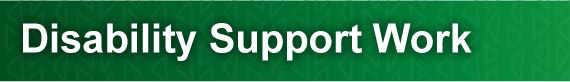 Disability Support Work header