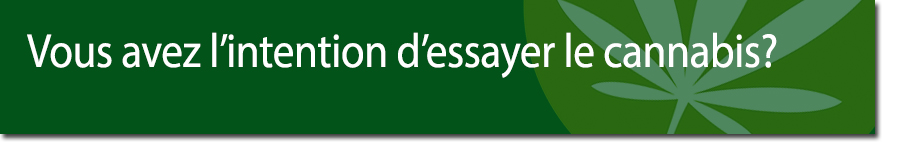 Vous avez l’intention d’essayer le cannabis?