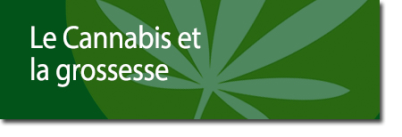 Le Cannabis et la grossesse