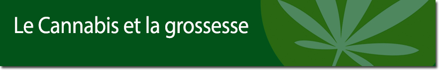 Le Cannabis et la grossesse ""