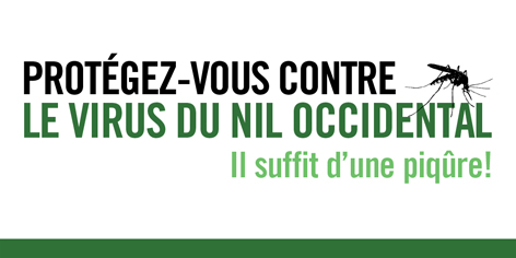 Le virus du Nil occidentals : Il suffit d‘une piqûre! Le virus du Nil occidentals : Il suffit d‘une piqûre!
