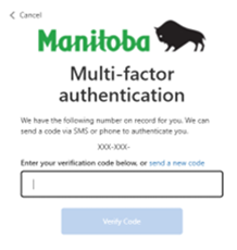 Entering verification code