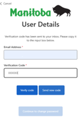 Entering verification code on user details screen
