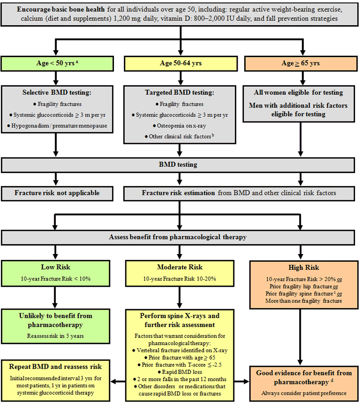 Osteoporosis Score Chart