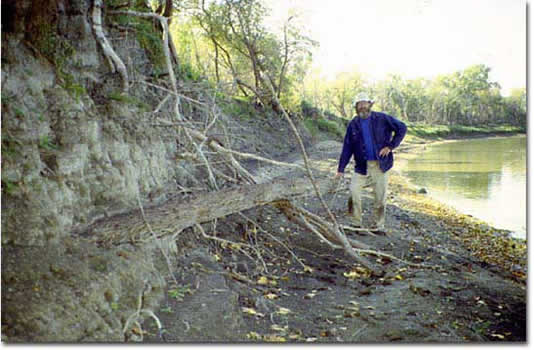 Collecting Subfossil Oak Logs