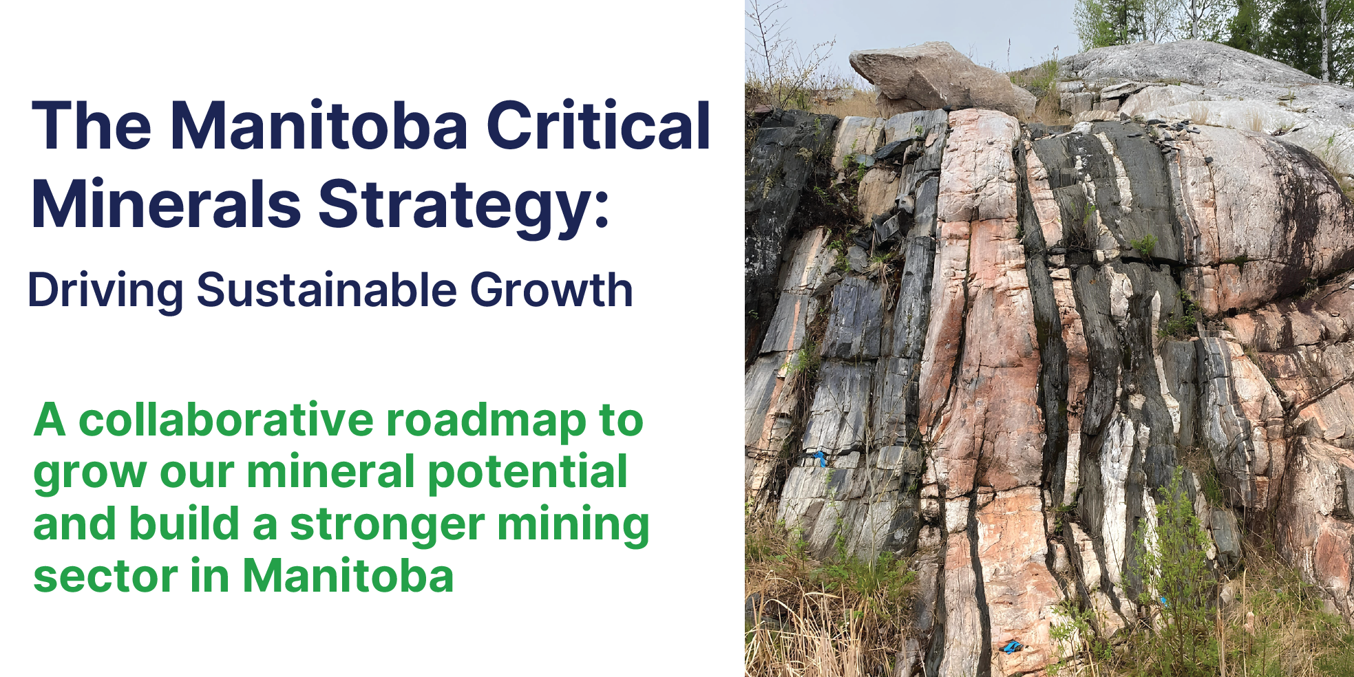 Critical Minerals Strategy