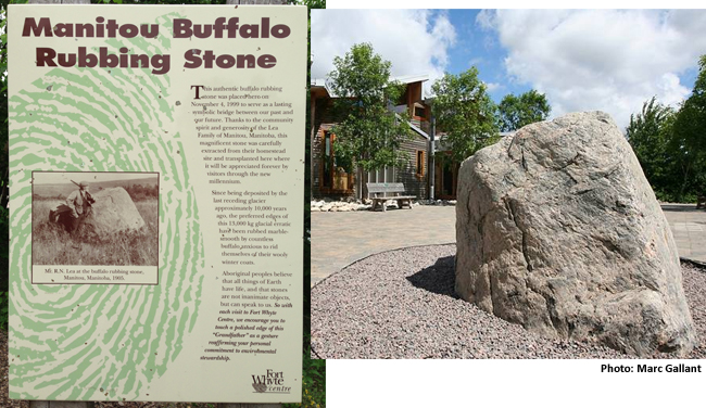Images of buffalo stone