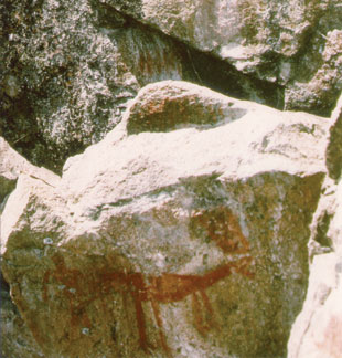 Aboriginal rock drawing from the Red Cliff area 