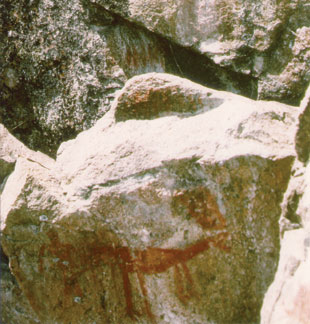 Dessin rupestre autochtone dans la région de Red Cliff, à l’endroit qui s’appelle maintenant Black Island.