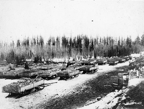 Sleds loaded with Mandy Mine ore, awaiting freighting, 1917. 