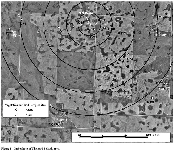 Orthophoto of Tilston 8-8 Study Area