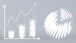 Sketch of bar and pie graphs