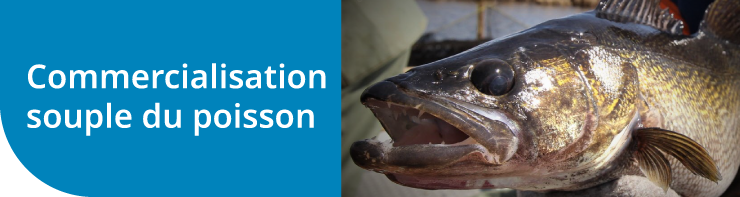 Commercialisation souple du poisson